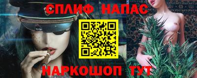 гашик Дубна