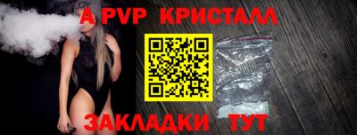 кокс Донской