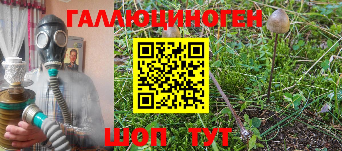 Псилоцибиновые грибы мицелий  Псилоцибиновые грибы мицелий  Минеральные Воды  Вход с VPN 