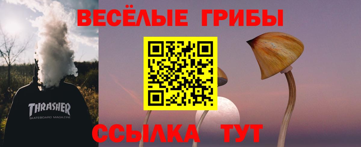 Галлюциногенные грибы Cubensis Минеральные Воды